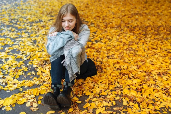 Portret dziewczyny piękne, słodkie, wesoły, który chodzi w parku w sezonie jesiennym — Zdjęcie stockowe