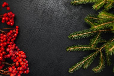 köknar ve Rowan. Siyah arka plan. Noel arka plan. Güzel fotoğraf