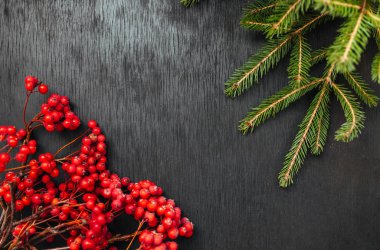 köknar ve Rowan. Siyah arka plan. Noel arka plan. Güzel fotoğraf