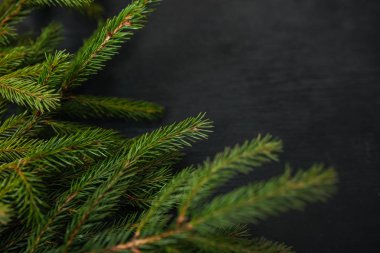 Ahşap arka plan. Siyah arka plan. Güzel köknar