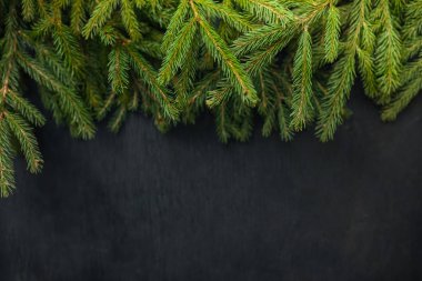 Ahşap arka plan. Siyah arka plan. Güzel köknar