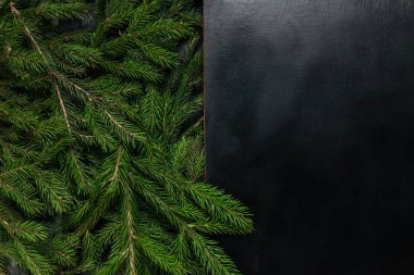 Noel arka plan. Siyah arka plan. Gerçek ağaç. Güzel fotoğraf