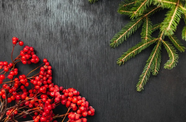 Fir y Rowan. Fondo negro. Fondo de Navidad. Hermosa foto — Foto de Stock