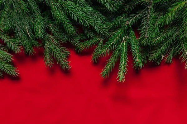 Fundo de Natal. fundo vermelho. árvore real — Fotografia de Stock
