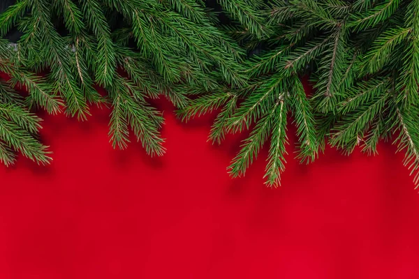 Fundo de Natal. fundo vermelho. árvore real — Fotografia de Stock