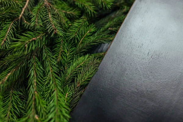 Fundo Natal Fundo Preto Uma Árvore Verdadeira Bela Foto — Fotografia de Stock