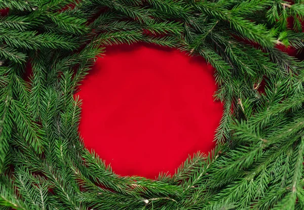 Fundo de Natal. fundo vermelho. árvore real Fotografia De Stock