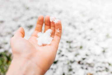 Kar adam elinde. Arka planda yeşil çimen, kar