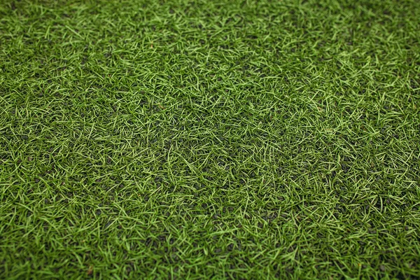 Green artificial grass soccer field. The green background.