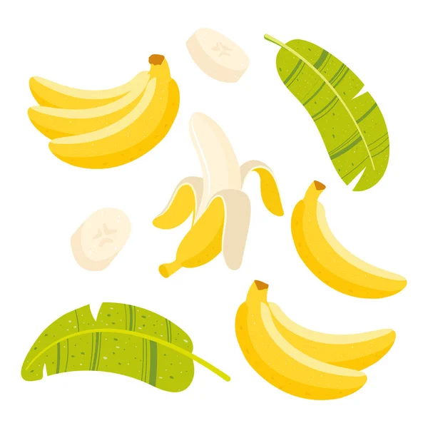 Banana com metade, fatias e folhas isoladas em fundo branco. Vetor . —  Vetores de Stock