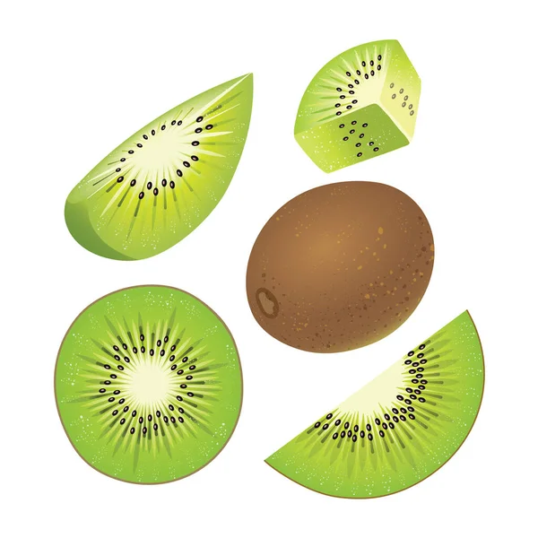 Slice and whole of fresh kiwi. Set of fresh kiwi on white background. — Stock Vector