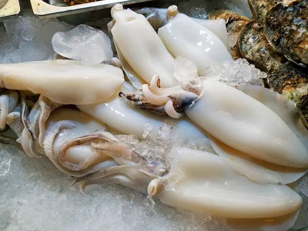 Calmar frais et fruits de mer sur le marché — Photo