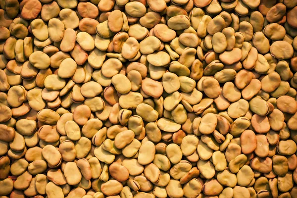 乾燥そら豆の背景 — ストック写真