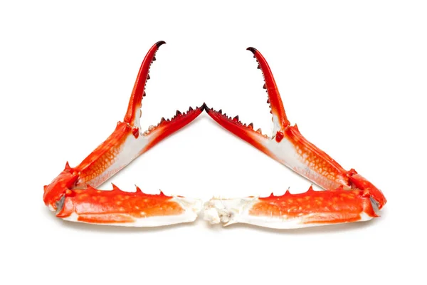 Főtt Crab Claw Elszigetelt Fehér Background — Stock Fotó