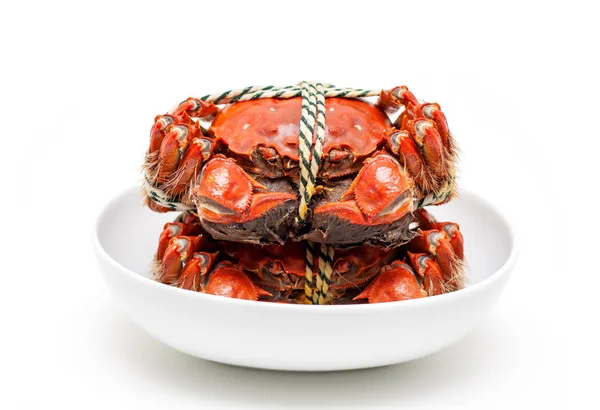 Crabe Chinois Poilu Cuit Isolé Sur Fond Blanc — Photo