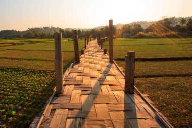 Sutongpe uzun bambu Köprüsü Tayland.