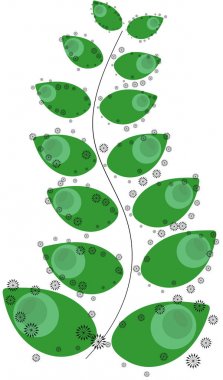 Yeşil yaprak soyut. Vektör çizim