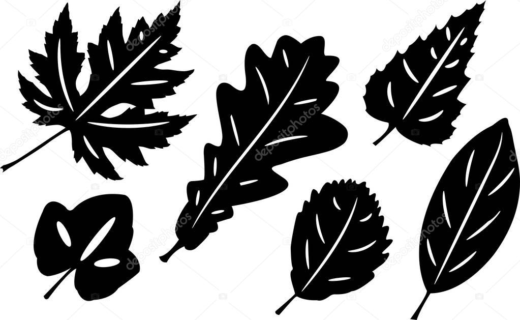 Set of silhouettes of leaves. Isolated on white. Vector illustration