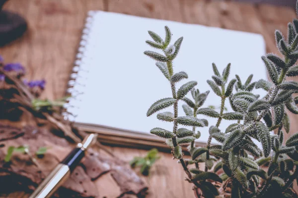 Boş defter dolma kalem ile