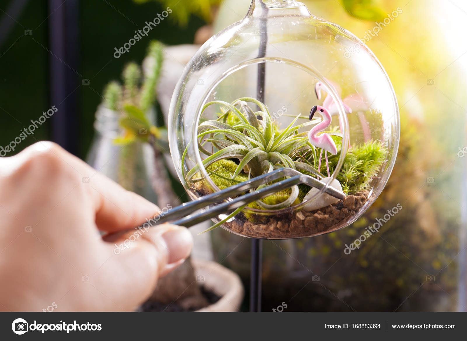 A terrarium garden scene in glass ball shape with Tillandsia, pebbles and flamingo toy inside