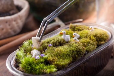 Terrarium bahçe sahne paslanmaz forseps kullanarak ördek ailesi topak oyuncak ile dekore edilmiş bir kase