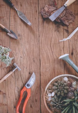 Bahçe aletleri ve sulu kaktüs bitki kopya alanı metin Merkezi ile bir tencerede