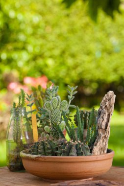 Mini kaktüs Bahçe geniş pot veya yuvarlak Seramik Tepsi ile Bahçe aletleri düzenlenmiş taş koymak