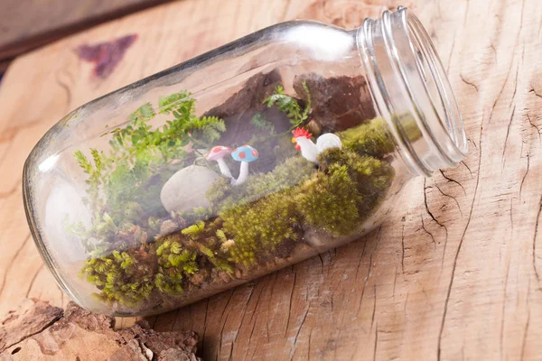 Ett terrarium trädgård scen i en tydlig flaska med mossa, pebble, kyckling och svamp leksak sätta på träbord — Stockfoto