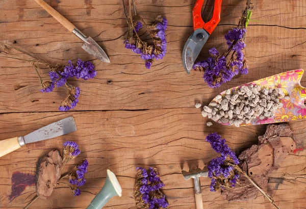 Bahçe aletleri ve sulu kaktüs bitki kopya alanı metin Merkezi ile bir tencerede