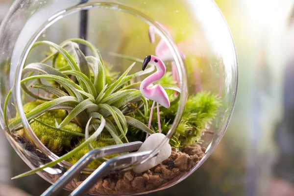 Una escena de jardín de terrario en forma de bola de vidrio con Tillandsia, guijarros y juguete flamenco en el interior y fórceps inoxidables para decorar — Foto de Stock