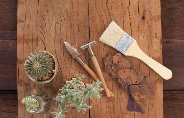 Bahçe aletleri ve sulu kaktüs bitki kopya alanı metin Merkezi ile bir tencerede