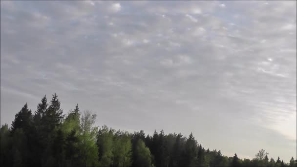 Nuvens Timelapse Sobre Floresta — Vídeo de Stock