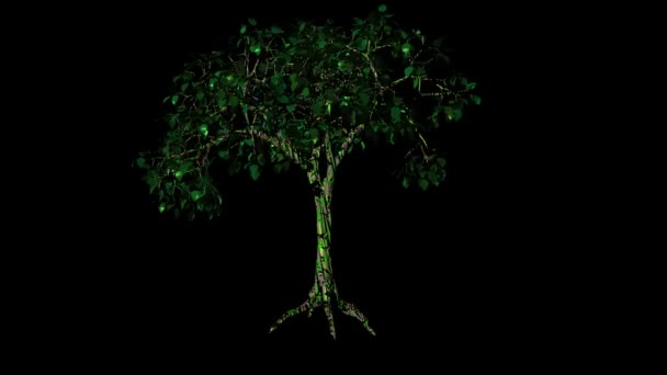 Arbre tulipe tourner animation 3d sur le fond noir 