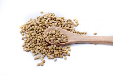 Tahta kaşık ile beyaz arka plan üzerinde izole kişniş tohumu
