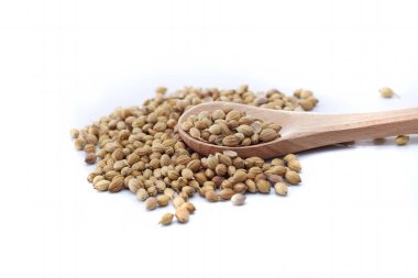 Tahta kaşık ile beyaz arka plan üzerinde izole kişniş tohumu