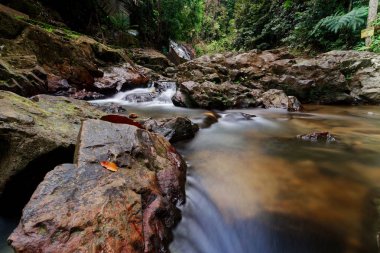 Güzel herdem yeşil cennet şelale