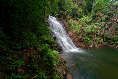 Güzel herdem yeşil cennet şelale