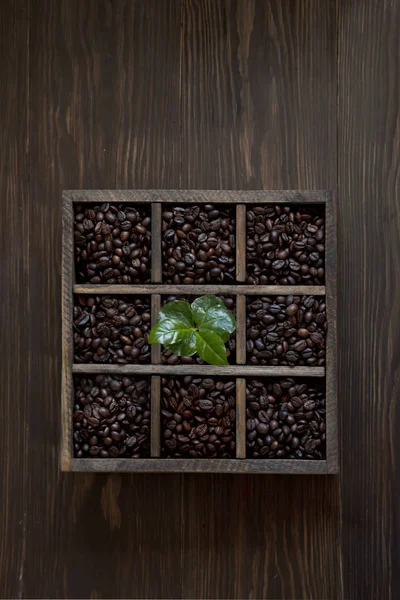 Коробка з кавовими зернами — стокове фото
