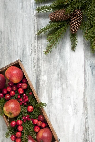 Pommes Rouges Baies Dans Une Boîte Branches Arbre Noël Avec — Photo