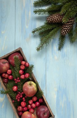 Mavi ahşap arka plan üzerinde kırmızı elma ve koniler ile bir kutu ve Noel ağacı dalları meyveleri Üstten Görünüm