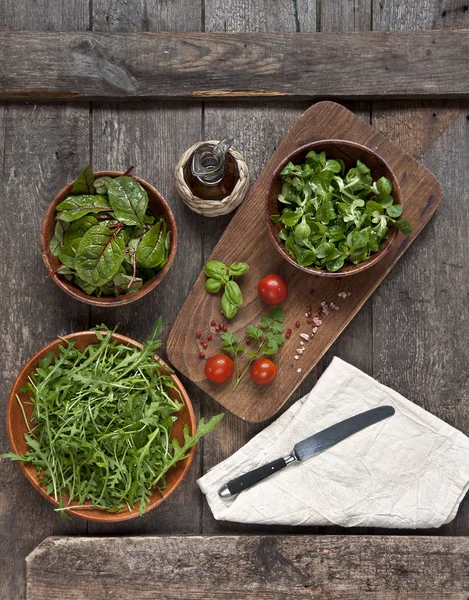 Daun Hijau Segar Dari Berbagai Jenis Salad Dan Tomat Ceri — Stok Foto