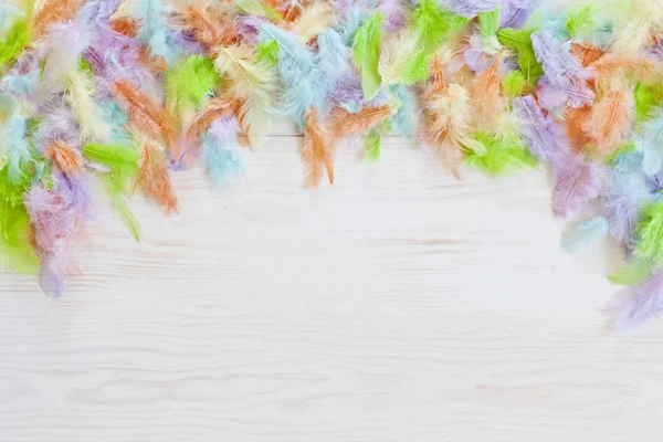 Top view of colored feathers on white wooden background. Easter concept