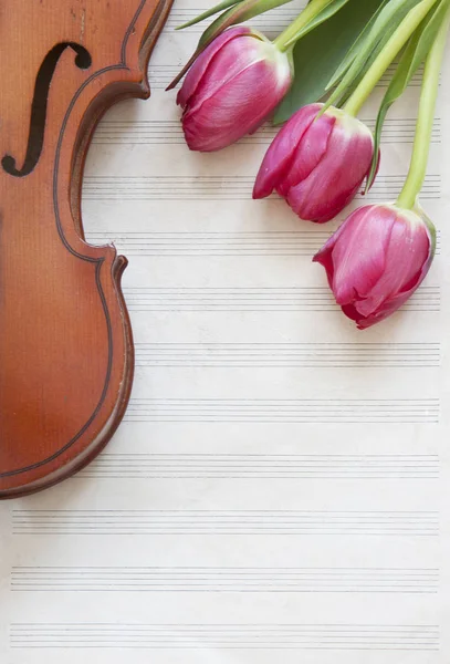 Zbliżenie Klasyczny Skrzypce Piękny Tulipan Różowy Kwiaty Tle Tabeli — Zdjęcie stockowe