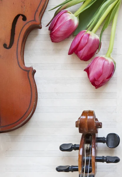 Close Classic Violin Beautiful Pink Tulip Flowers Table Background — Stock Photo, Image