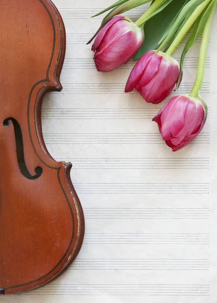 Tablo Arka Plan Üzerinde Güzel Pembe Lale Çiçek Ile Klasik — Stok fotoğraf