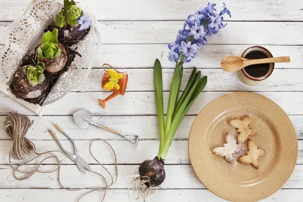 Close Kue Kupu Kupu Lucu Dengan Bunga Hyacinth Pada Kayu — Stok Foto