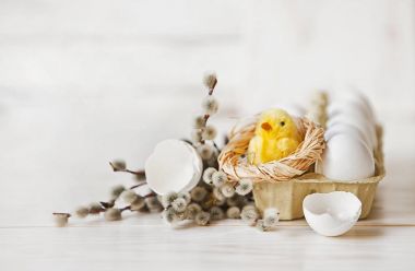 Close-up of white eggs in box with pussy-willow and little cute chicken toy on wooden background. Easter holiday