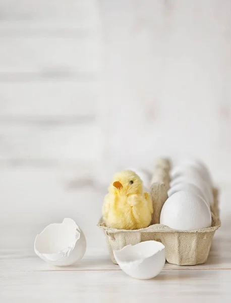 Крупним Планом Білі Яйця Коробці Маленькою Милою Курячою Іграшкою Дерев — стокове фото