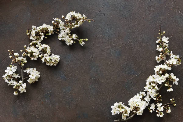 Close Photo Beautiful White Flowering Cherry Tree Branches Black Table — Stock Photo, Image