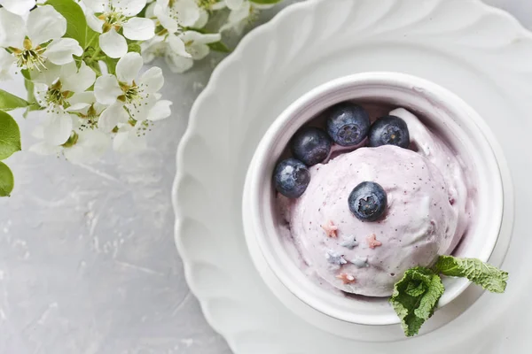 Close Krim Blueberry Dan Blueberry Dalam Mangkuk Putih Dikelilingi Oleh — Stok Foto